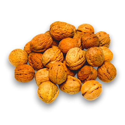 Walnut In Shell 10Kg